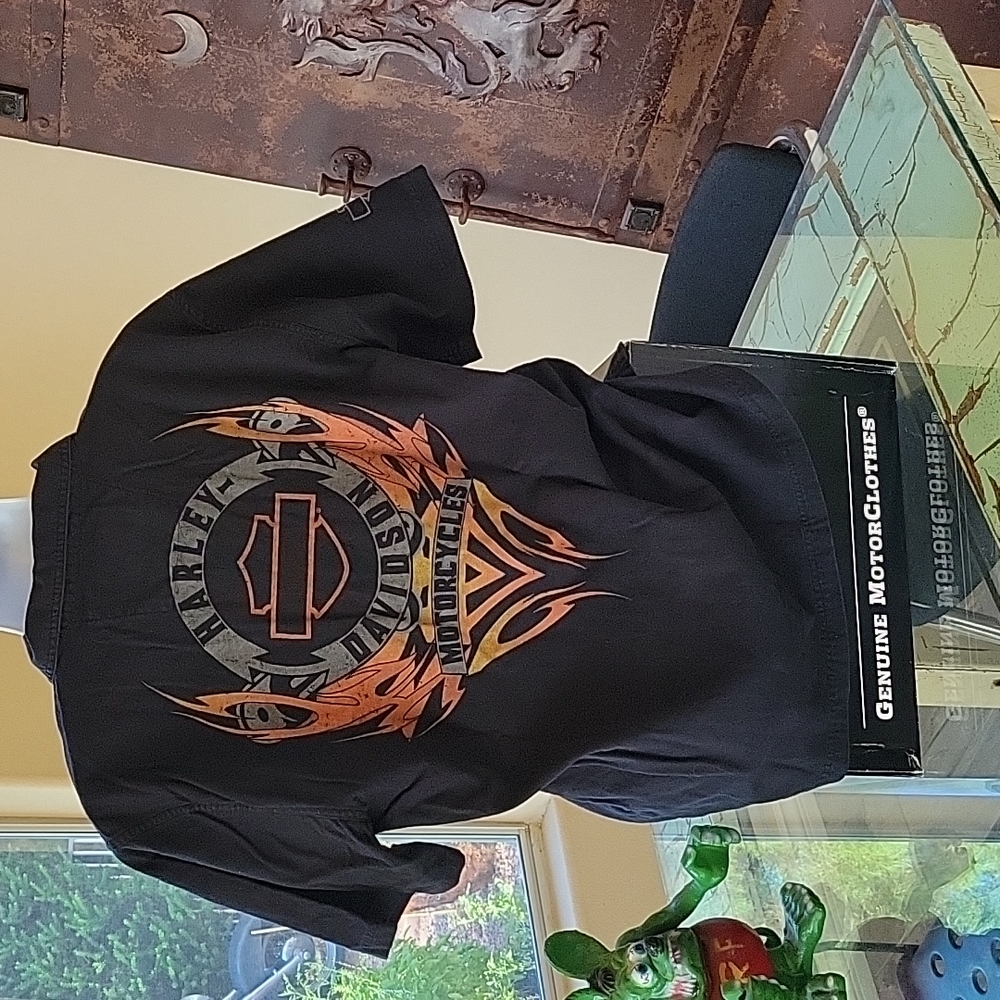 Men's Harley-Davidson Short Sleeve Shirt in size L with Flames!